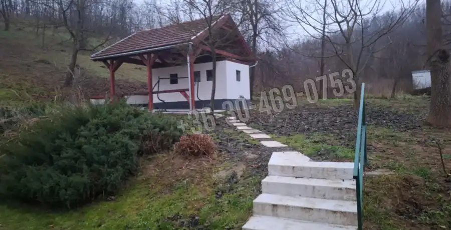 Albérlet, kiadó házrész, Tolmács