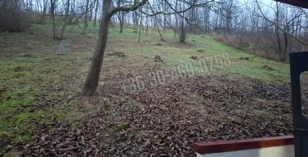 Nógrád megye - Tolmács