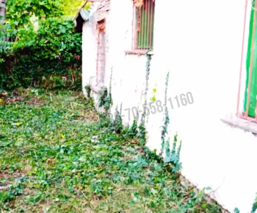 Pest megye - Délegyháza