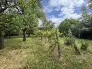 Nógrád megye - Diósjenő