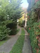 Pest megye - Visegrád