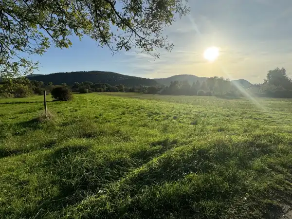 Eladó Építési telek, Kisoroszi 2450 m² 35 M Ft