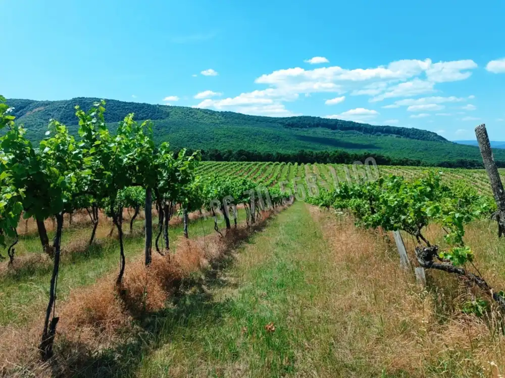 Nógrád megye - Szendehely