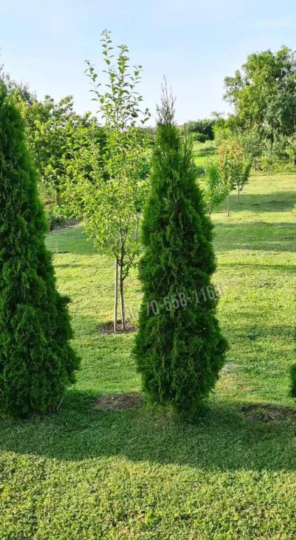 Nógrád megye - Nagyoroszi