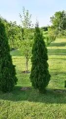 Nógrád megye - Nagyoroszi