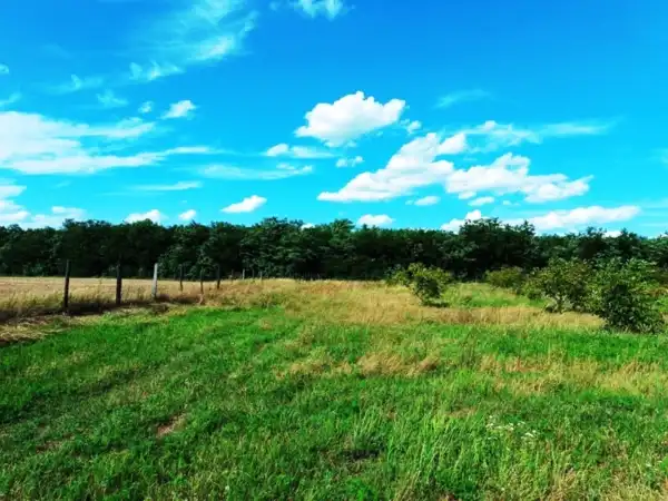 Eladó Legelő, Sződ 50000 m² 60 M Ft + Áfa