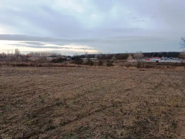 Eladó Szántó, Őrbottyán 10000 m² 20 M Ft